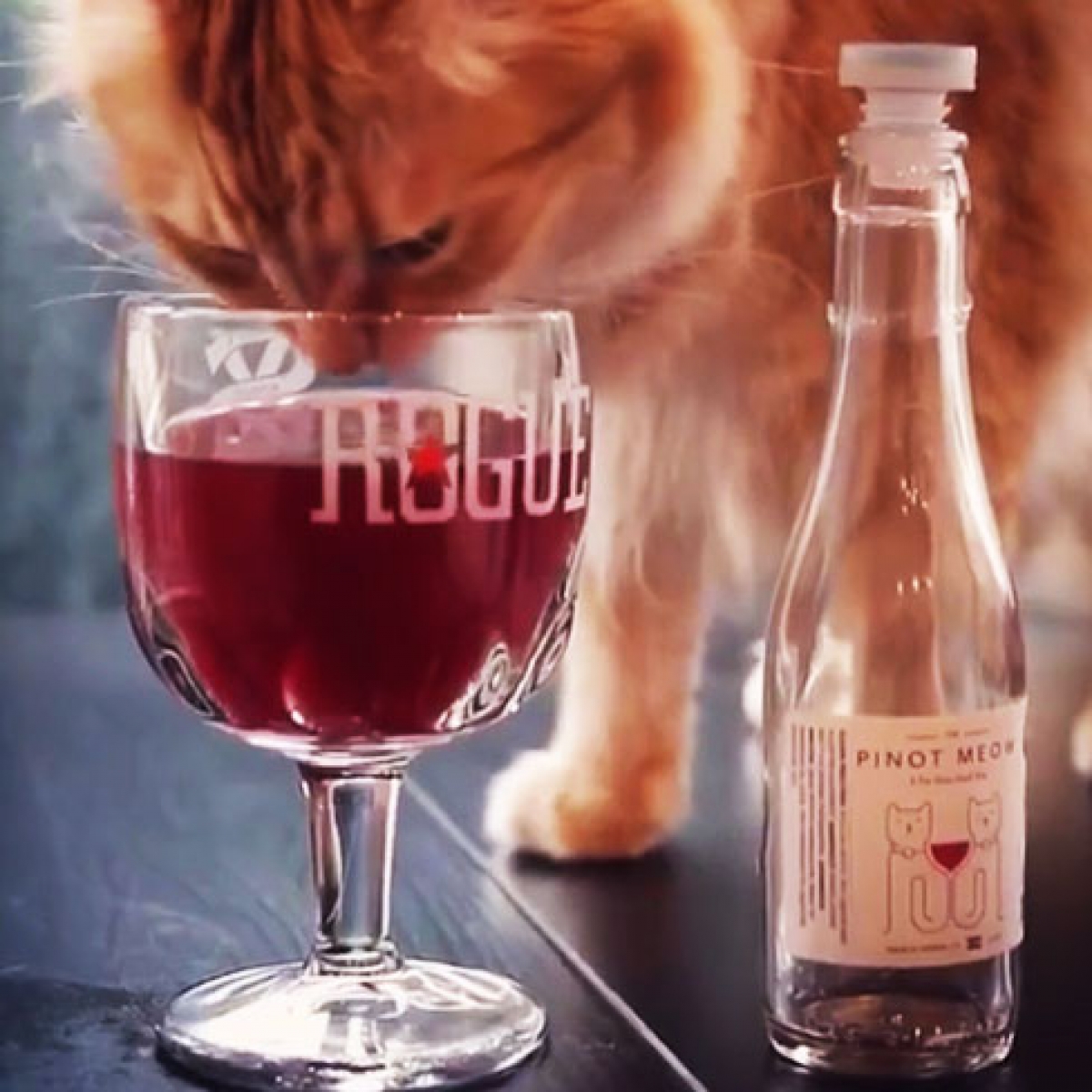 Cat Wine Make your own catnip wine! Cat wine buying guide, general